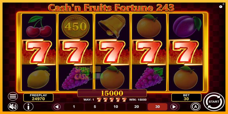 Spielautomat Cashn Fruits Fortune 243 für echtes geld 4