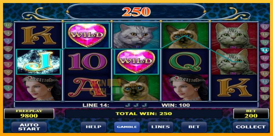 Spielautomat Diamond Cats für echtes geld 2