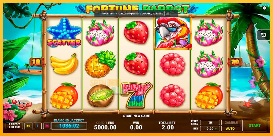 Spielautomat Fortune Parrot für echtes geld 1