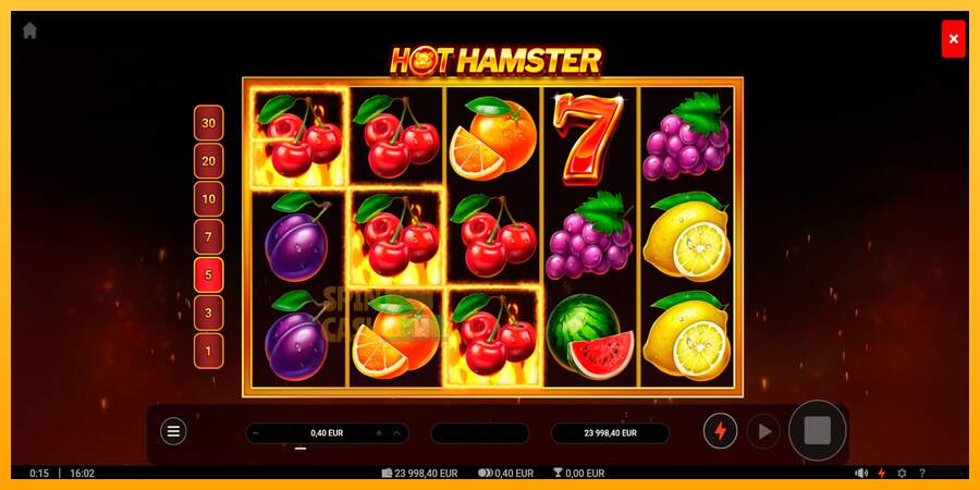 Spielautomat Hot Hamster für echtes geld 2