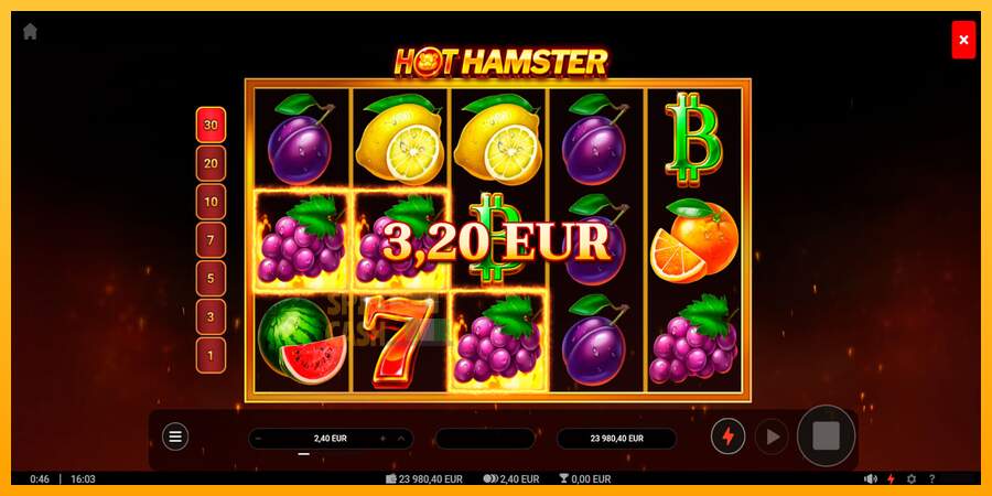 Spielautomat Hot Hamster für echtes geld 3