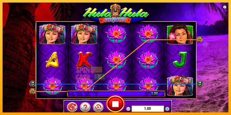 Spielautomat Hula Hula Nights für echtes geld 2