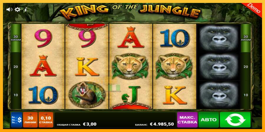 Spielautomat King of the Jungle für echtes geld 3