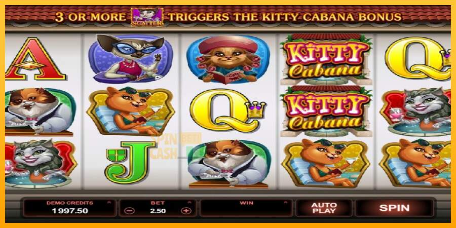 Spielautomat Kitty Cabana für echtes geld 3