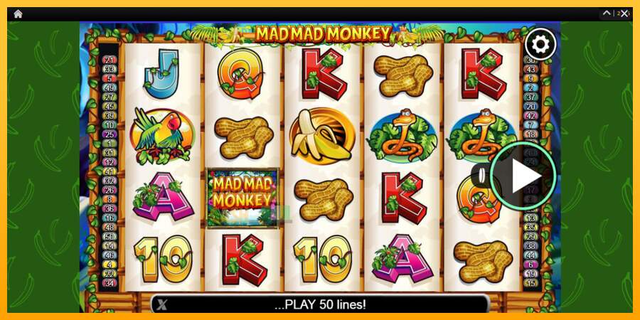 Spielautomat Mad Mad Monkey für echtes geld 1