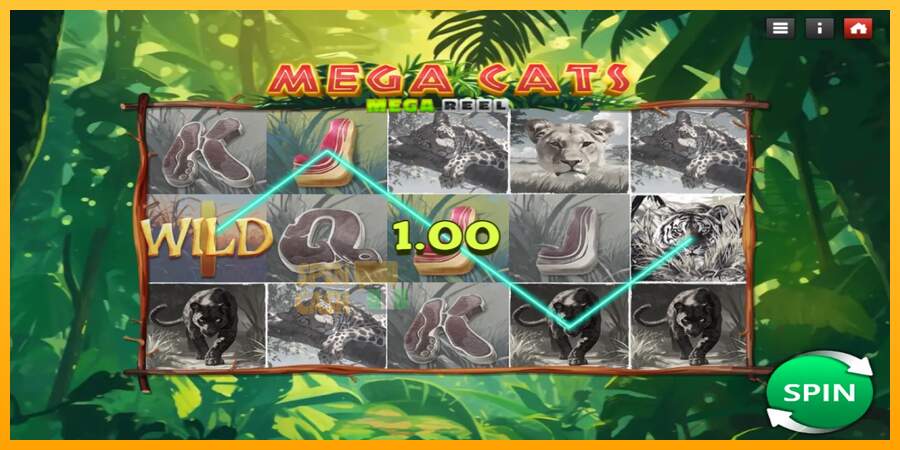 Spielautomat Mega Cats Mega Reel für echtes geld 3