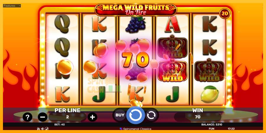 Spielautomat Mega Wild Fruits - On Fire für echtes geld 4