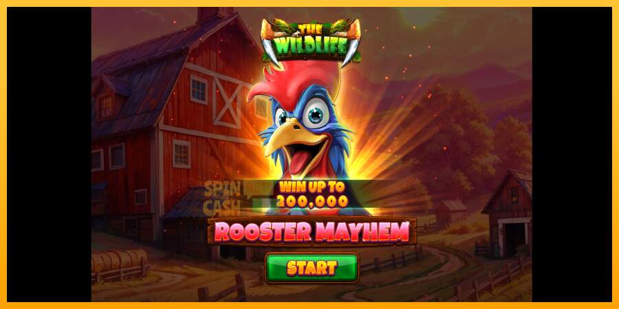 Spielautomat Rooster Mayhem für echtes geld 1