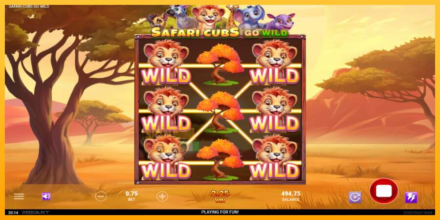 Spielautomat Safari Cubs Go Wild für echtes geld 3