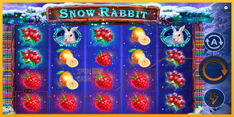 Spielautomat Snow Rabbit für echtes geld 4