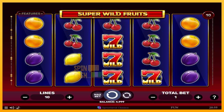 Spielautomat Super Wild Fruits für echtes geld 1