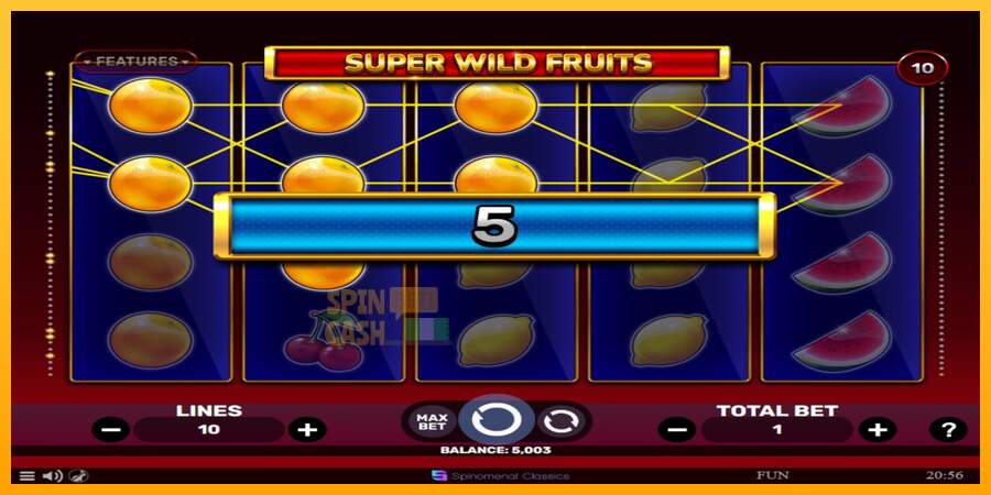 Spielautomat Super Wild Fruits für echtes geld 2