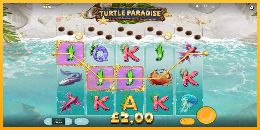 Spielautomat Turtle Paradise für echtes geld 4