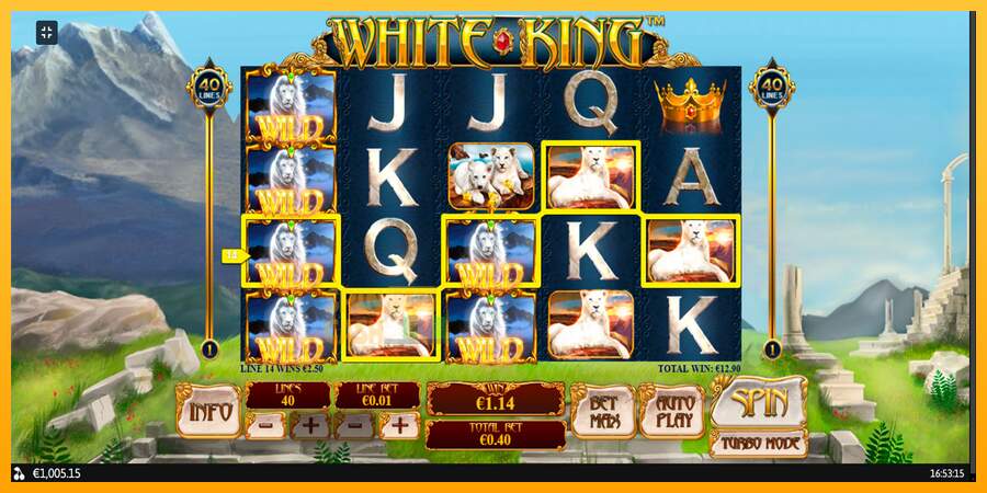 Spielautomat White King für echtes geld 11