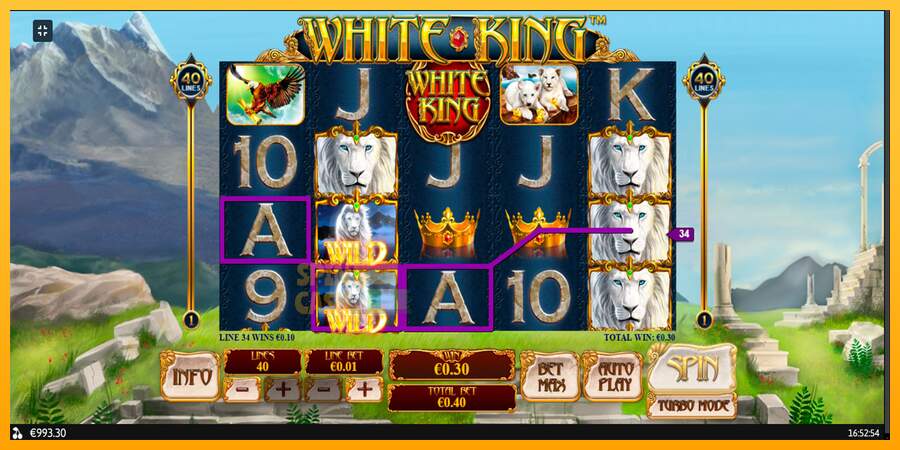 Spielautomat White King für echtes geld 9