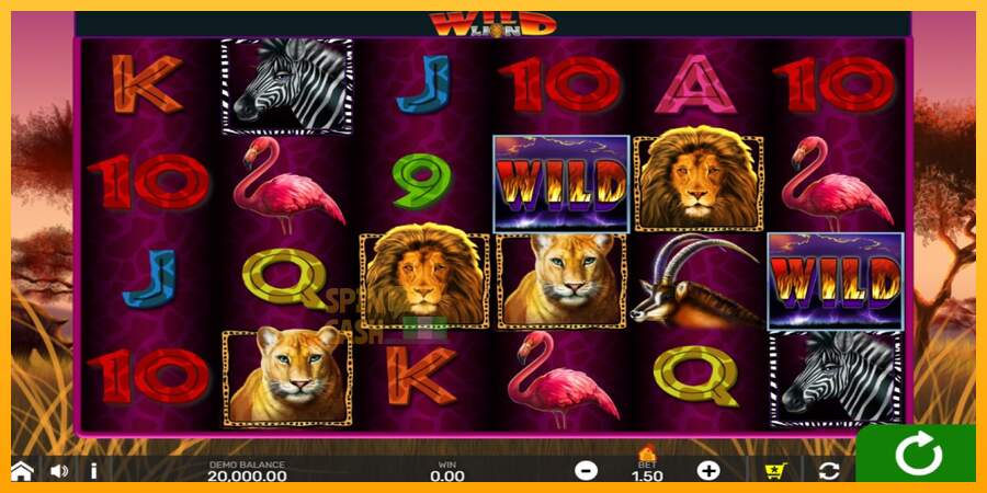 Spielautomat Wild Lion with Reel Bingo für echtes geld 1