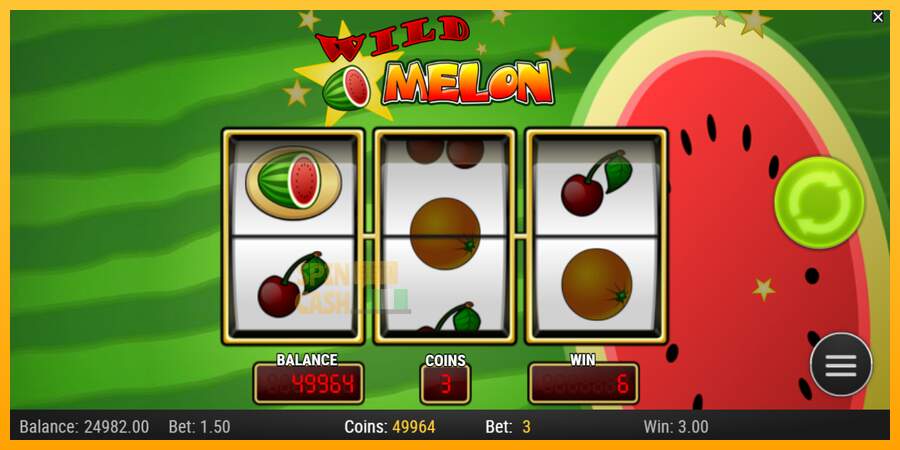 Spielautomat Wild Melon für echtes geld 2