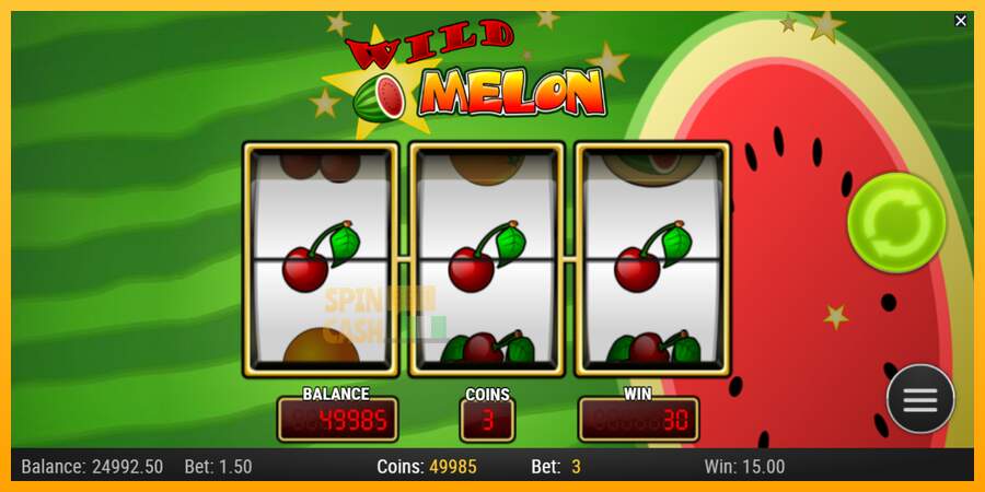 Spielautomat Wild Melon für echtes geld 3