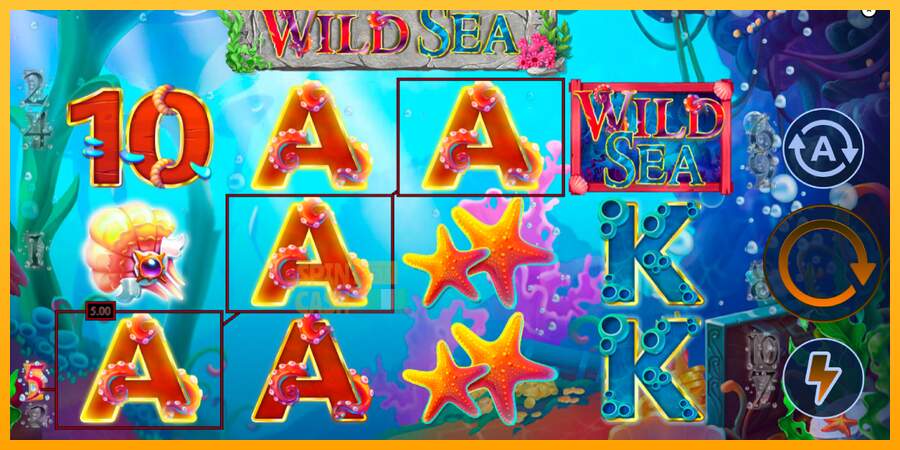 Spielautomat Wild Sea für echtes geld 2