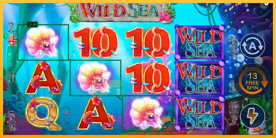 Spielautomat Wild Sea für echtes geld 3