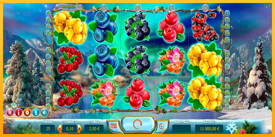 Spielautomat Winterberries für echtes geld 1