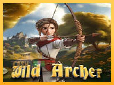 Spielautomat Wild Archer für echtes geld