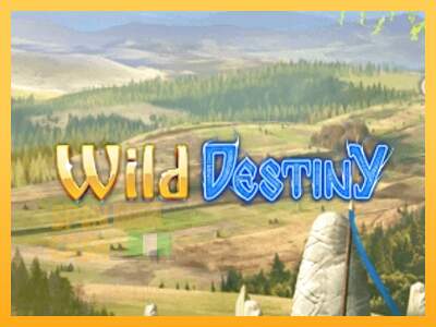 Spielautomat Wild Destiny für echtes geld