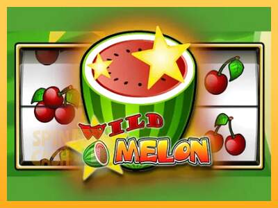 Spielautomat Wild Melon für echtes geld