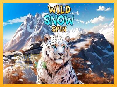 Spielautomat Wild Snow Spin für echtes geld